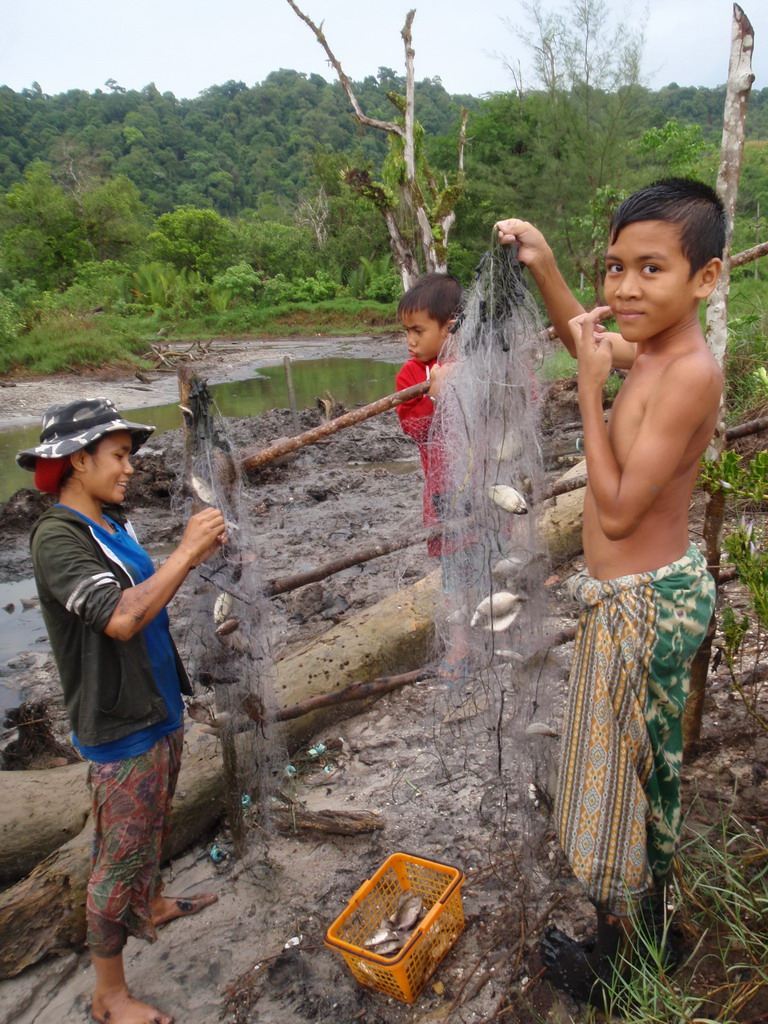 Photo 1 from Mangrove Action Project